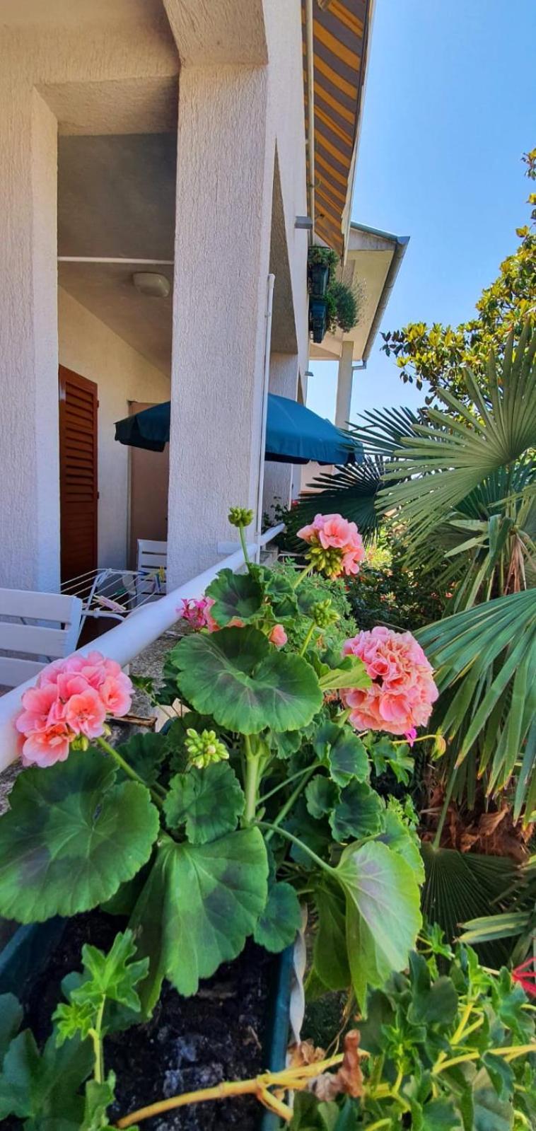 Apartment Apartments Villa Martinuzzi